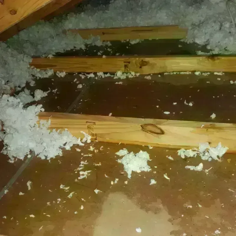 Attic Water Damage in Cottonport, LA